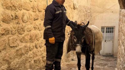 Mardin’in Artuklu ilçesinde, temizlik çalışmalarında kullanılan kadrolu eşeklerin yerini paletli