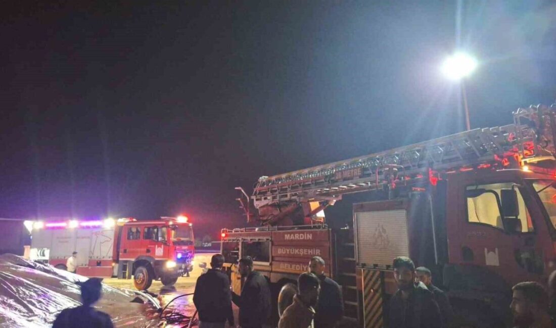 Mardin'in Kızıltepe ilçesindeki bir mısır kurutma tesisinde çıkan yangın, itfaiye