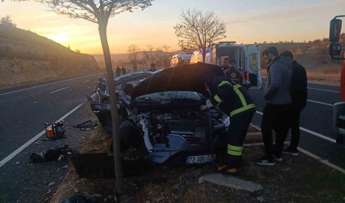 Mardin-Diyarbakır karayolunda meydana gelen trafik kazasında Nufel Karaalp (30) yaşamını