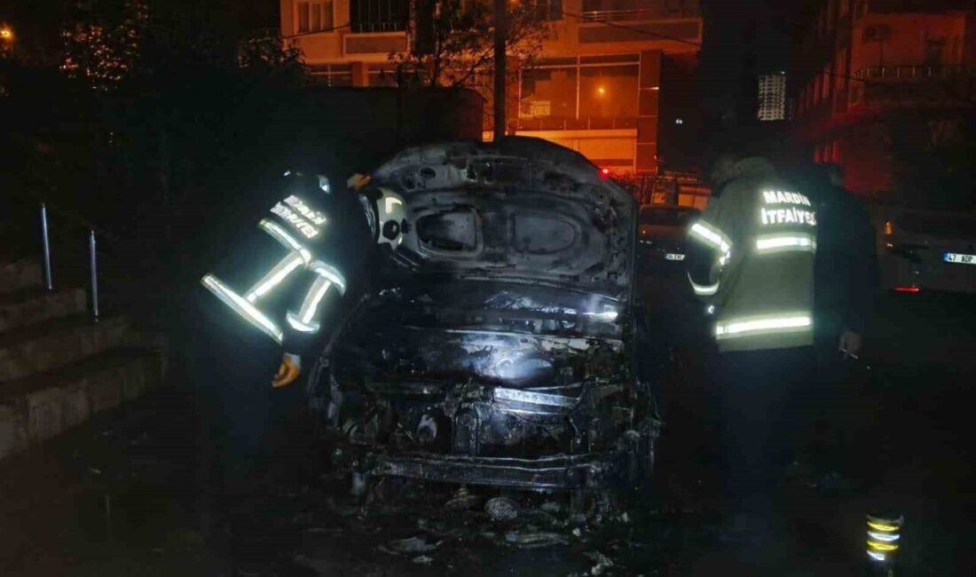 Mardin'in Artuklu ilçesinde park halindeki 47 T 0075 plakalı otomobildeki