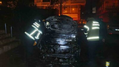 Mardin'in Artuklu ilçesinde park halindeki 47 T 0075 plakalı otomobildeki