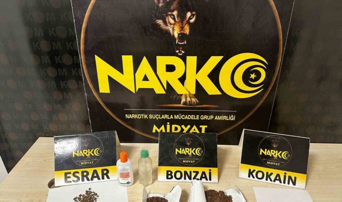 Mardin'in Midyat ilçesinde gerçekleştirilen uyuşturucu operasyonunda 3 kişi gözaltına alındı.