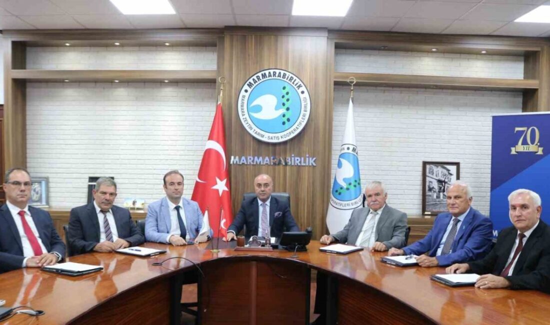 Marmarabirlik, 5 Aralık Cuma günü ortaklarına 622 milyon TL ödeme