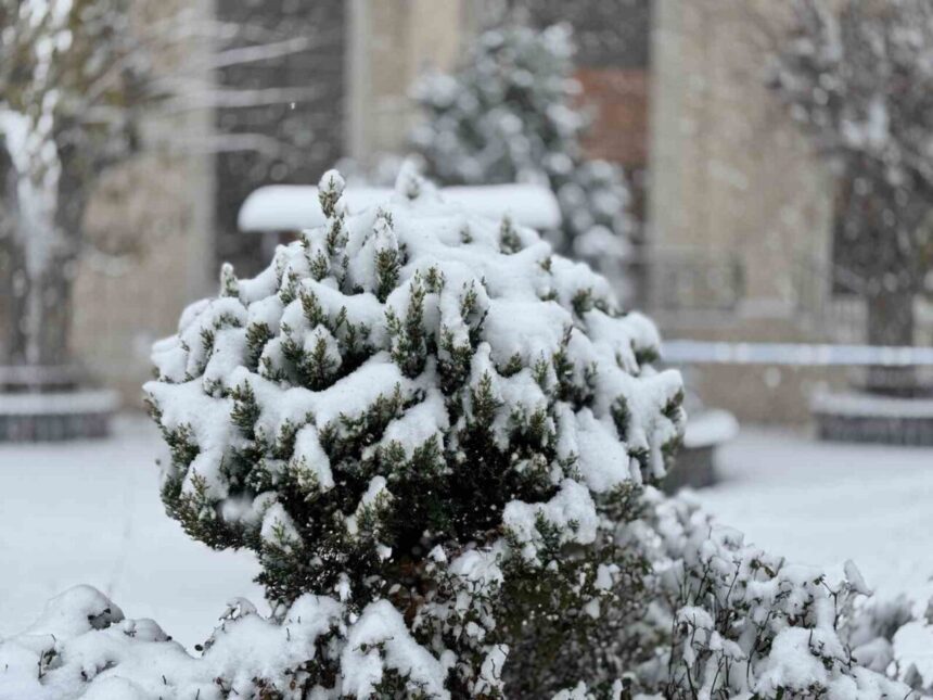 Mazıdağı’nda Yoğun Kar Yağışı ve Tipi Etkili Olmaya Devam Ediyor
