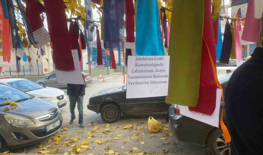 Memurlar, Çalışma ve Sosyal Güvenlik Bakanlığı Önünde Taleplerini Dilek Ağacı’na Astı Devlet Memurları Konfederasyonu, Çalışma ve Sosyal Güvenlik Bakanlığı önünde düzenlediği