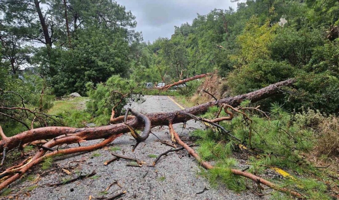 Muğla'nın Menteşe ilçesindeki Sarnıç Mahallesi'nde etkili olan fırtına, Akbük Mevkii