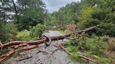 Muğla'nın Menteşe ilçesindeki Sarnıç Mahallesi'nde etkili olan fırtına, Akbük Mevkii