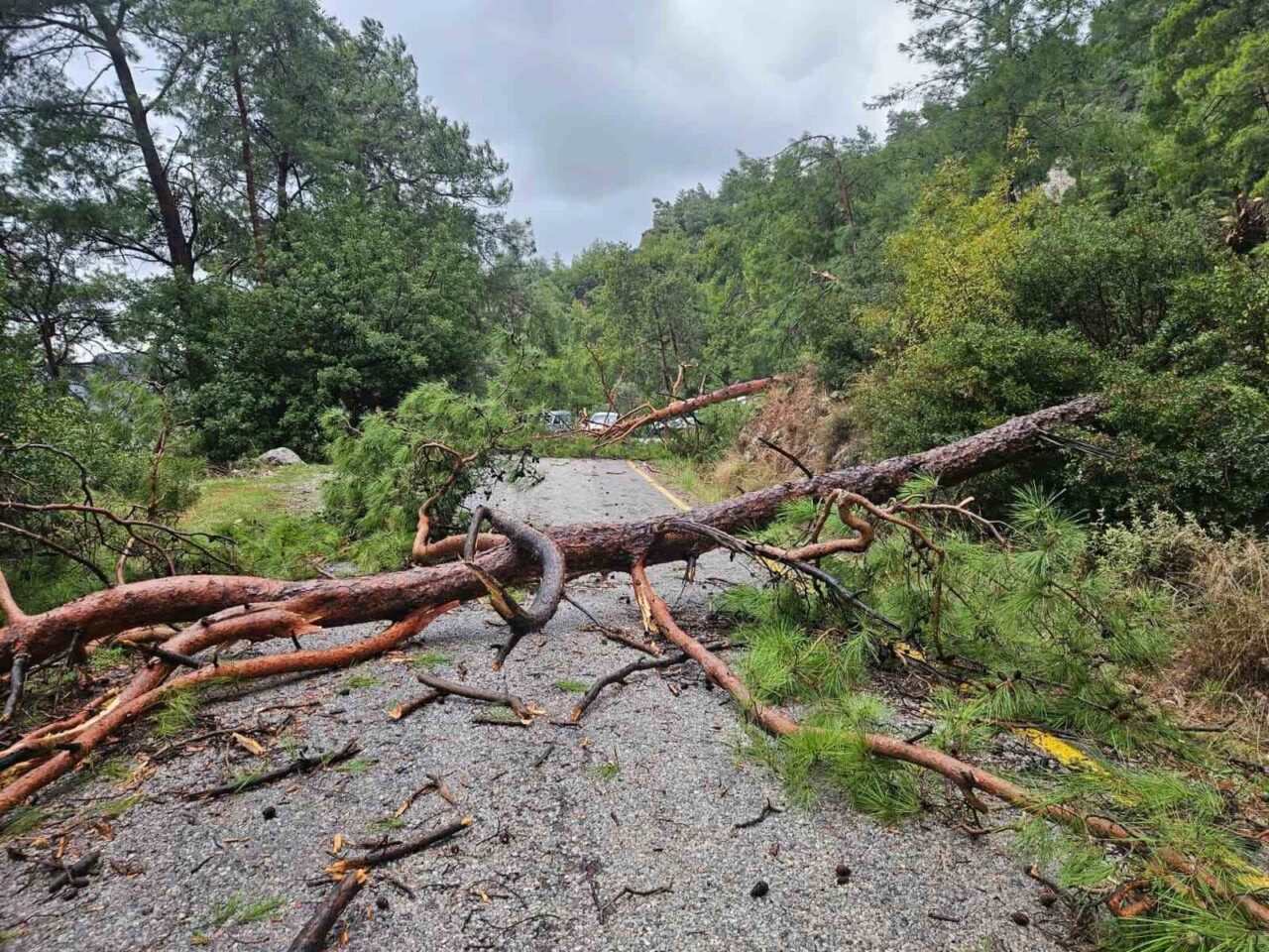 Muğla'nın Menteşe ilçesindeki Sarnıç Mahallesi'nde etkili olan fırtına, Akbük Mevkii