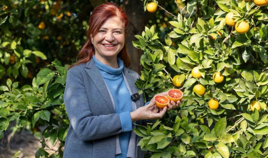 Mersinden Kadın Kooperatifi, Mersin kan portakalı için coğrafi işaret alarak
