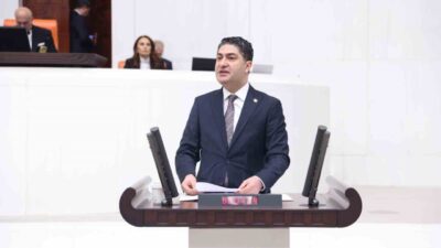 Milliyetçi Hareket Partisi Genel Başkan Yardımcısı İsmail Özdemir, Türkiye'nin güvenliği