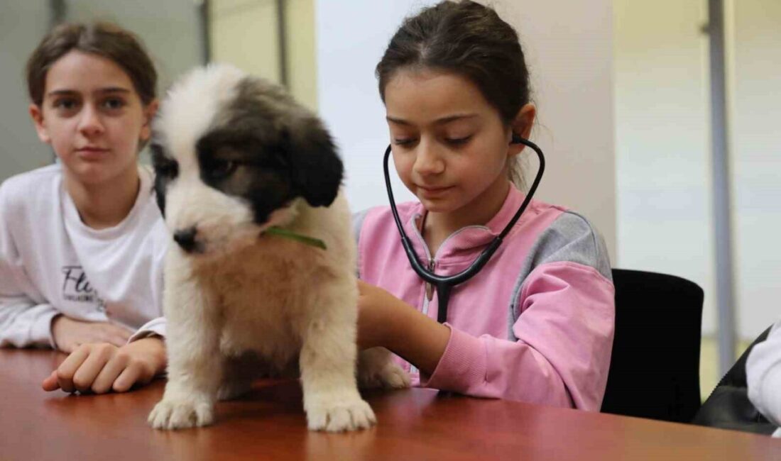 Bursa Büyükşehir Belediyesi’nden Çocuklara Hayvan Sevgisi Aşılama Etkinliği: ‘Bir Günlüğüne Veteriner Hekim Oluyorum’ Bursa Büyükşehir Belediyesi, sokak hayvanlarına yönelik hizmetlerini tanıtmak ve çocuklara