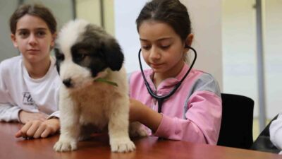 Bursa Büyükşehir Belediyesi, sokak hayvanlarına yönelik hizmetlerini tanıtmak ve çocuklara