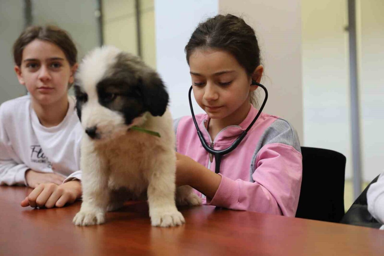 Bursa Büyükşehir Belediyesi, sokak hayvanlarına yönelik hizmetlerini tanıtmak ve çocuklara