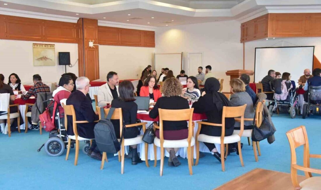 Muğla Sıtkı Koçman Üniversitesi, erişilebilirliği artırma hedefiyle bir çalıştay düzenledi.