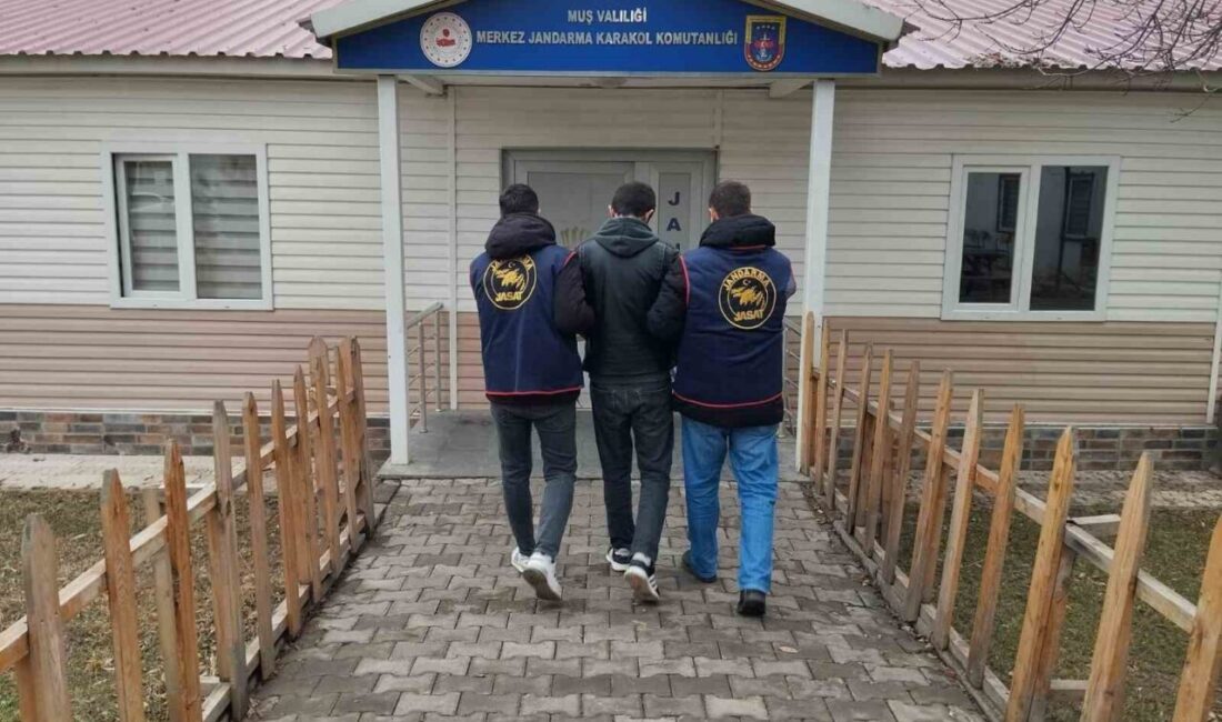 Muş’ta Dolandırıcılık Suçundan Aranan Hükümlü Jandarma Operasyonuyla Yakalandı Muş İl Jandarma Komutanlığı, dolandırıcılık suçundan 3 yıl 4 ay