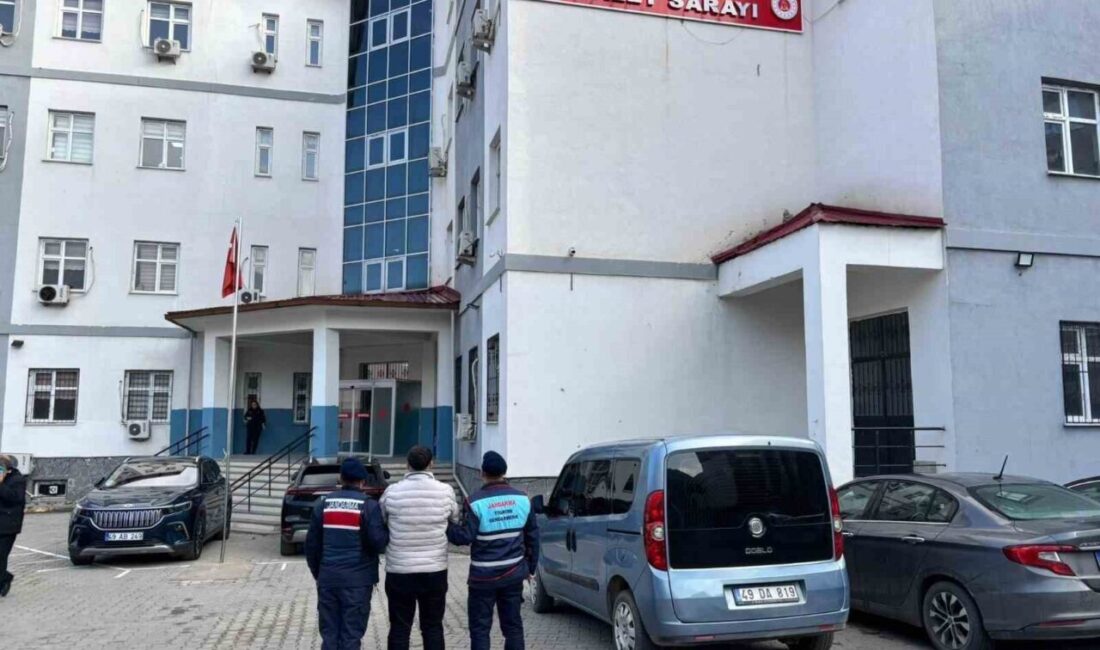 Muş’ta Jandarma, Hakkında Kesinleşmiş Cezası Bulunan Şahısı Yakaladı Muş'ta, hakkında 5 yıl 6 ay hapis cezası bulunan E.K.