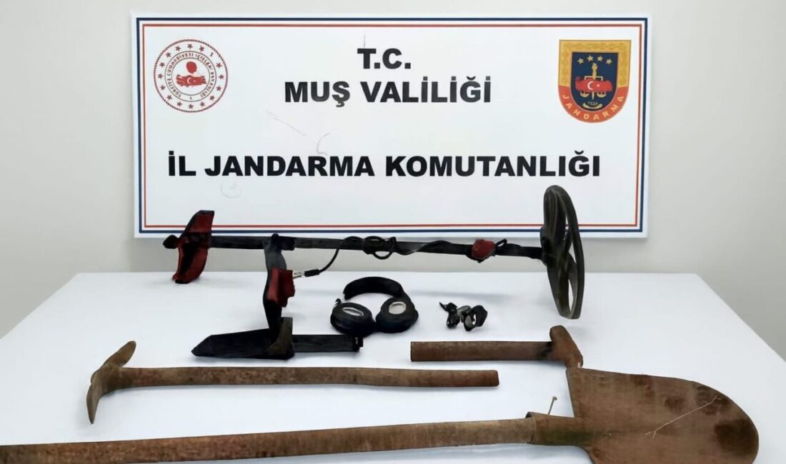 Muş'un Bulanık ilçesinde jandarma ekipleri, sit alanında kaçak kazı yapan