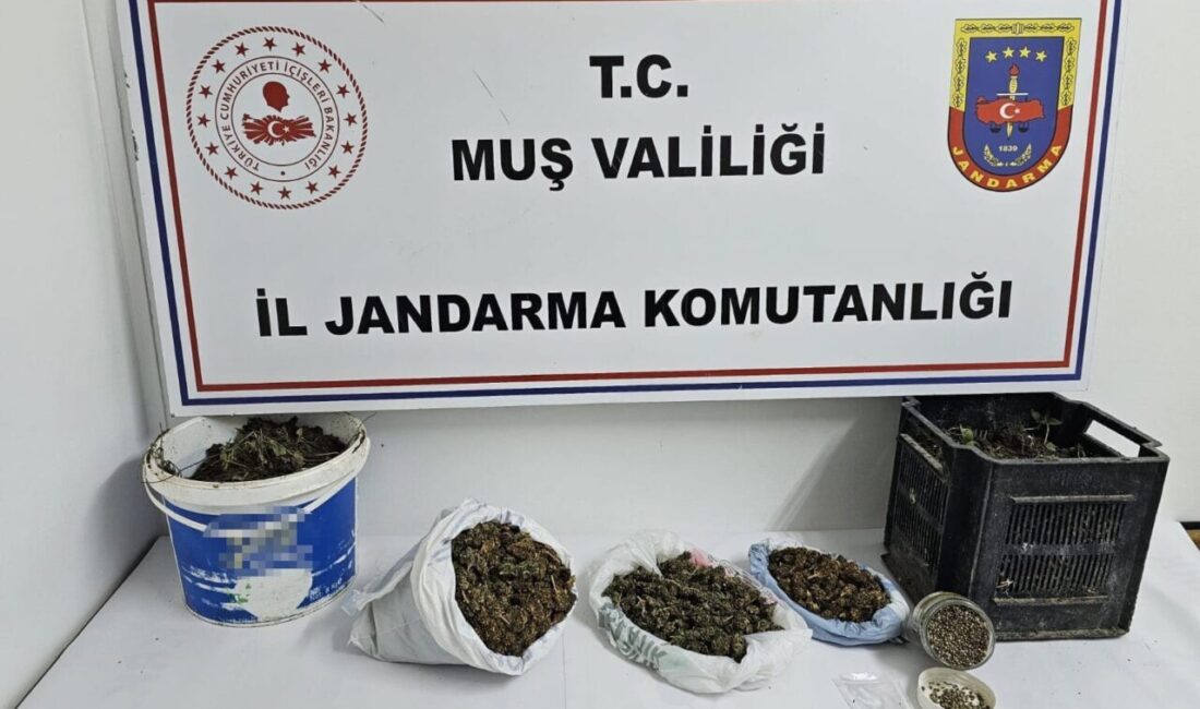Muş'ta jandarma, E.G. isimli kişinin evine düzenlediği operasyonda 1 kilo