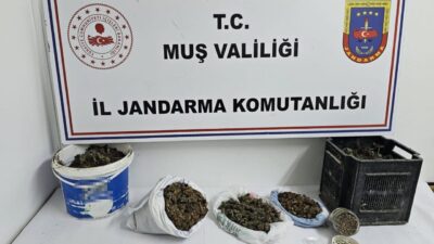 Muş'ta jandarma, E.G. isimli kişinin evine düzenlediği operasyonda 1 kilo