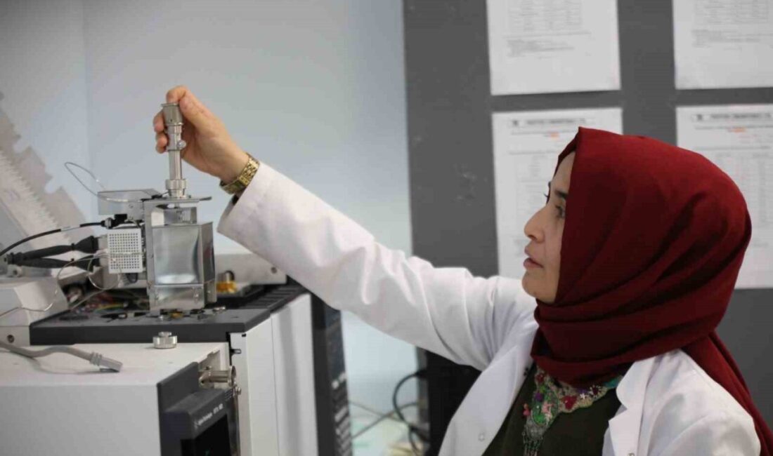 Konya'daki Necmettin Erbakan Üniversitesi'nde kurulan Bilim ve Teknoloji Uygulama ve