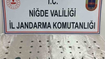 Niğde İl Jandarma Komutanlığı, tarihi eser kaçakçılığına yönelik 'Anadolu Mirası