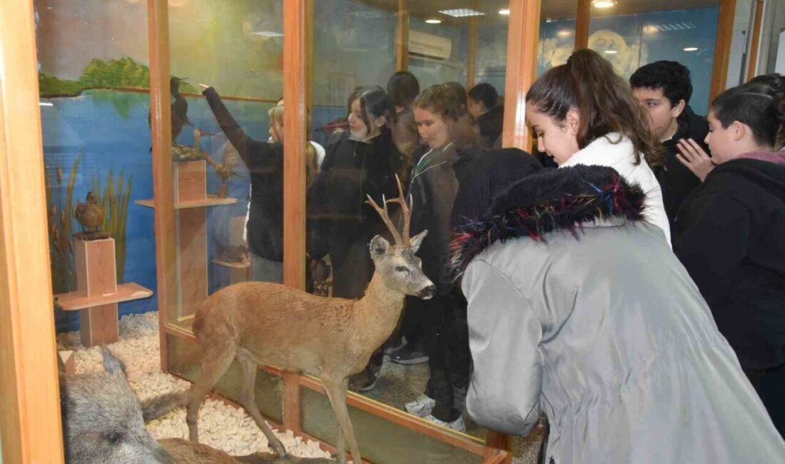 Düzce Ortaokulu Öğrencileri, Düzce Üniversitesi Orman Fakültesi’nde Bilim Dolu Bir Gezi Gerçekleştirdi Düzce Hikmet Akın Ortaokulu öğrencileri, Düzce Üniversitesi Orman Fakültesi'ni ziyaret