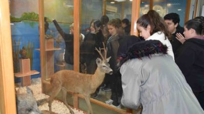 Düzce Hikmet Akın Ortaokulu öğrencileri, Düzce Üniversitesi Orman Fakültesi'ni ziyaret