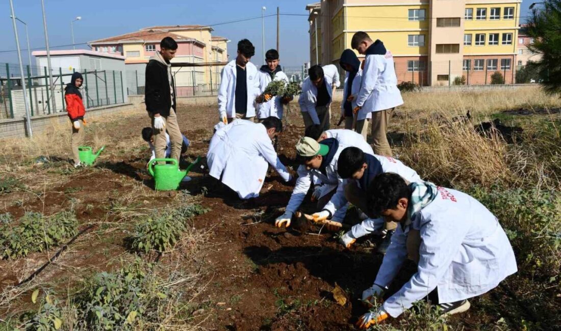 Şanlıurfa'nın Siverek ilçesindeki Sultan Alparslan Mesleki ve Teknik Anadolu Lisesi