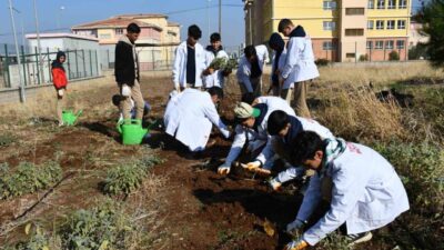 Siverek Sultan Alparslan Mesleki ve Teknik Anadolu Lisesi, öğrencilerine uygulamalı