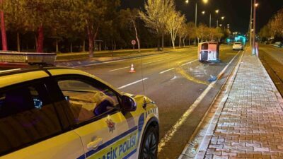 Kayseri'nin Melikgazi ilçesinde T.M. isimli sürücünün önüne çıkan köpek nedeniyle