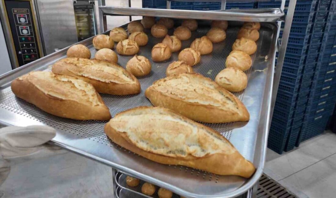 Ordu Büyükşehir Belediyesi'nin kurduğu halk ekmek üretim tesisi, geçen bir