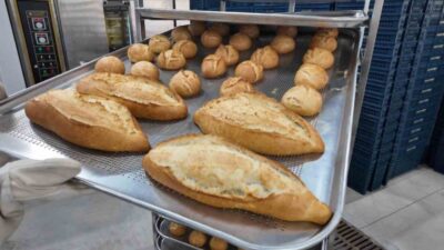 Ordu Büyükşehir Belediyesi'nin kurduğu halk ekmek üretim tesisi, geçen bir