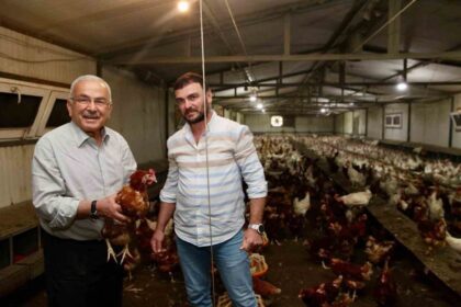 Ordu Yumurta Üreticileri Birliği Başkanı Sezgi, desteklerle yumurta üretimini 50 milyona çıkardıklarını duyurdu