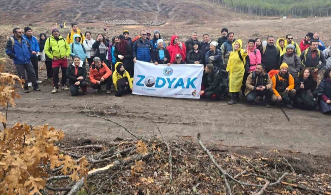 Zodyak Doğa Yürüyüşü Ekibi, Eskişehir'in Seyitgazi İlçesi'nde, yangında zarar gören