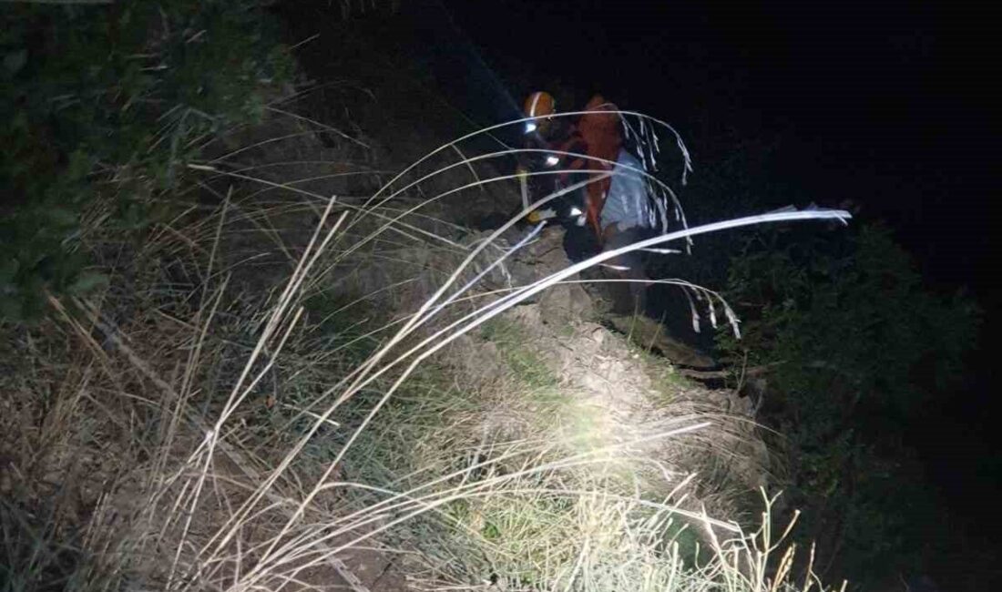 Bursa'nın Gürsu ilçesinde ormanlık alanda mahsur kalan 58 yaşındaki Selami