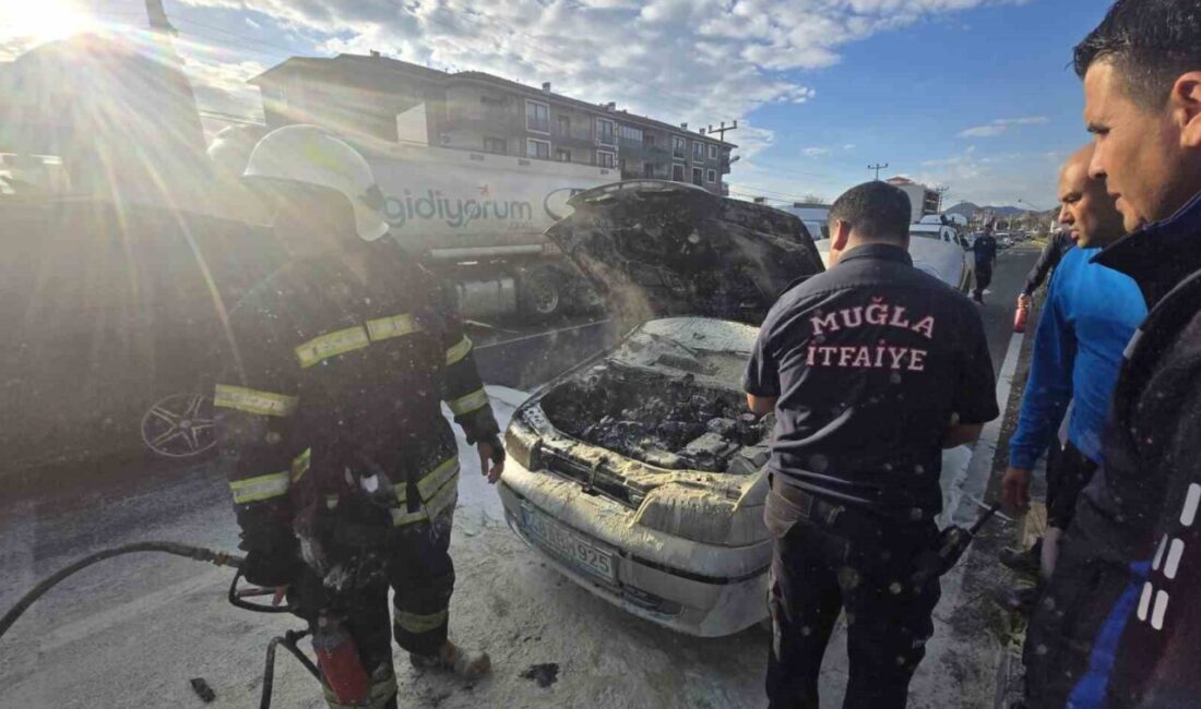 Muğla'nın Ortaca ilçesinde, D400 karayolu üzerindeki trafik ışıklarında T.Z. isimli
