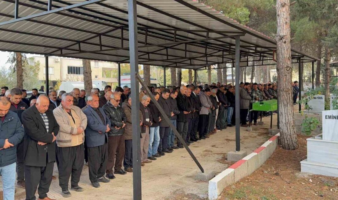 Osmaniye'nin Kayalı köyünde meydana gelen trafik kazasında, Süleyman Körkü (26),