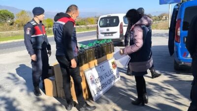 Aydın'ın Köşk ilçesinde jandarma, yol kontrolü sırasında bir otobüsün bagajında