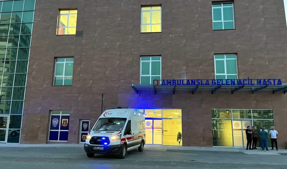 Niğde’de meydana gelen trafik kazasında bir kişi yaşamını yitirirken, üç kişi yaralandı Niğde'nin Bor ilçesinde Bahçeli köyü yakınlarında meydana gelen trafik kazasında,