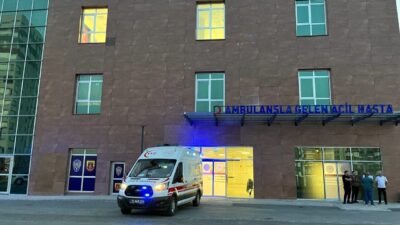 Niğde'nin Bor ilçesinde Bahçeli köyü yakınlarında meydana gelen trafik kazasında,