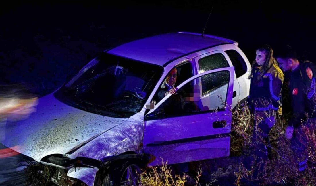 Sakarya'nın Akyazı ilçesinde Murat Ö.'nün kullandığı otomobil, kontrolden çıkarak boş