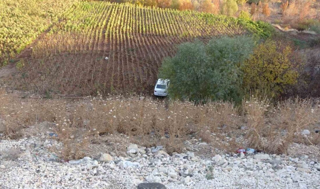 Adıyaman'da 30 metrelik şarampolden düşen otomobildeki sürücü M.Ş. ve arkadaşı