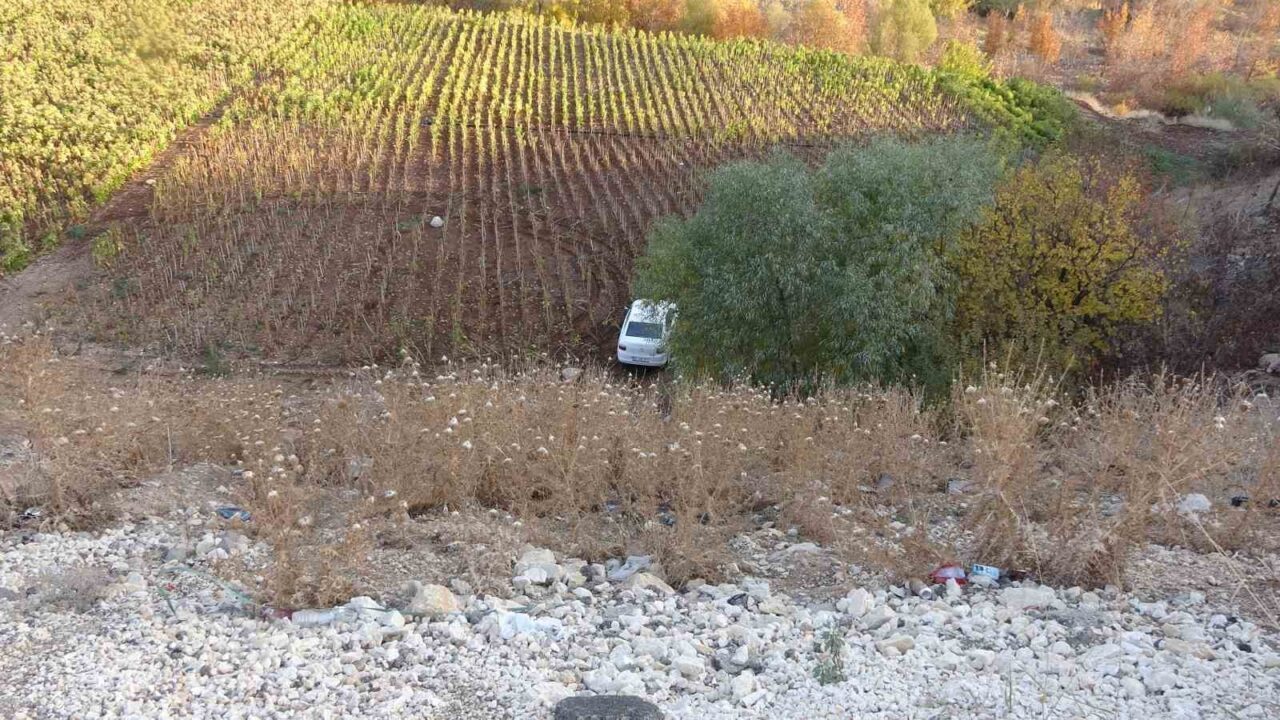 Adıyaman'da 30 metrelik şarampolden düşen otomobildeki sürücü M.Ş. ve arkadaşı
