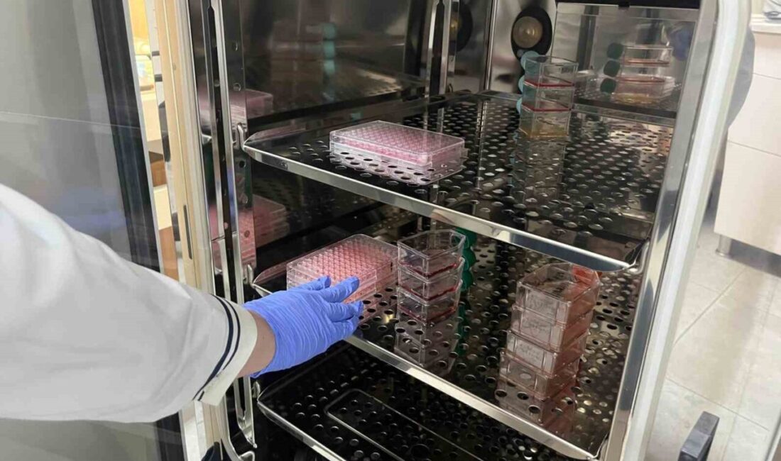 Alanya Alaaddin Keykubat Üniversitesi Tıp Fakültesi'nde, Parkinson hastalığının bağırsak ve