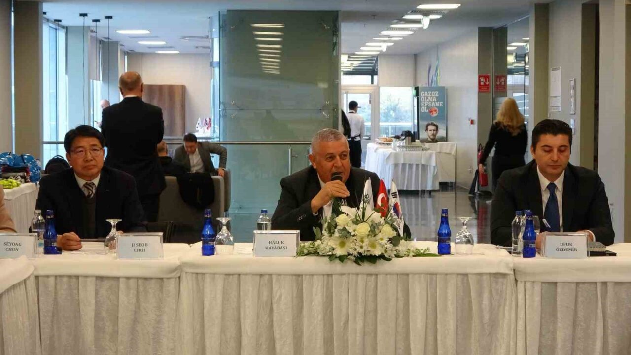 Kibar Holding CEO'su Haluk Kayabaşı, paslanmaz çelikte Uzak Doğu kaynaklı