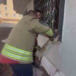 Kırıkhan’da pencere korkuluğuna sıkışan kedi, itfaiye tarafından kurtarıldı.