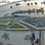 Pendik’te balık tutan şahıs, kediyi tekmeleyerek denize attı; çevre halkından büyük tepki geldi.