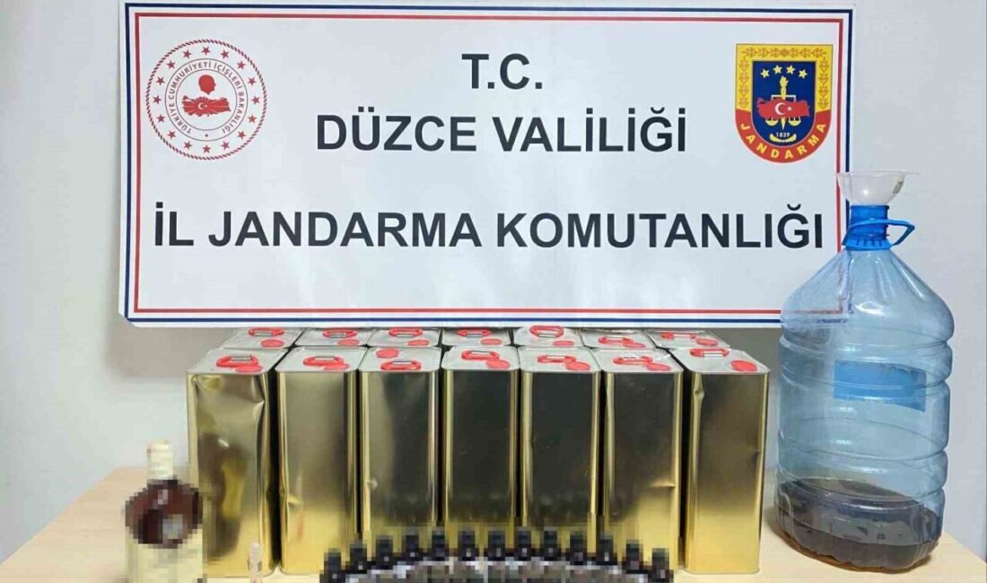 Düzce'de polis ve jandarma ekipleri, son bir haftada gerçekleştirdikleri denetimlerde