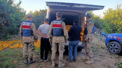 Hatay'ın Erzin ilçesinde, M.V.'ye ait portakal bahçesinden 2 ton portakal