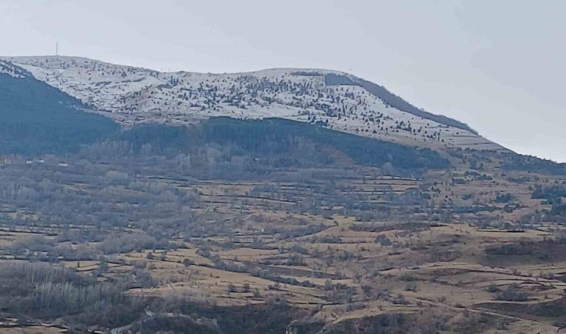 Posof ilçesinde dün gece başlayan kar yağışı, bölgeyi beyaz bir